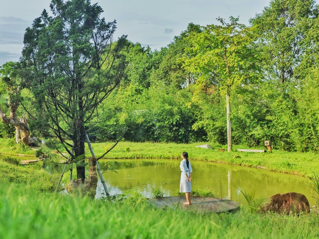 Những căn nhà đầu tiên trong dự án Thành phố Cà phê của ông Đặng Lê Nguyên Vũ đã cất nóc: Giá 7-10 tỷ đồng/căn, có thể đến ở vào cuối năm - Ảnh 3.