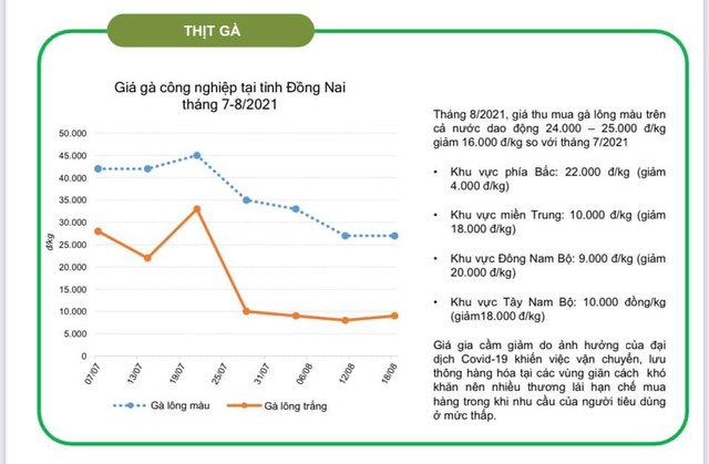 Giải mã nguyên do thực phẩm tăng giá tới 10 lần trong đỉnh dịch: Đứt gãy chuỗi cung ứng, nhiều người bán hàng trục lợi và không ít “tân binh” non kinh nghiệm - Ảnh 5.