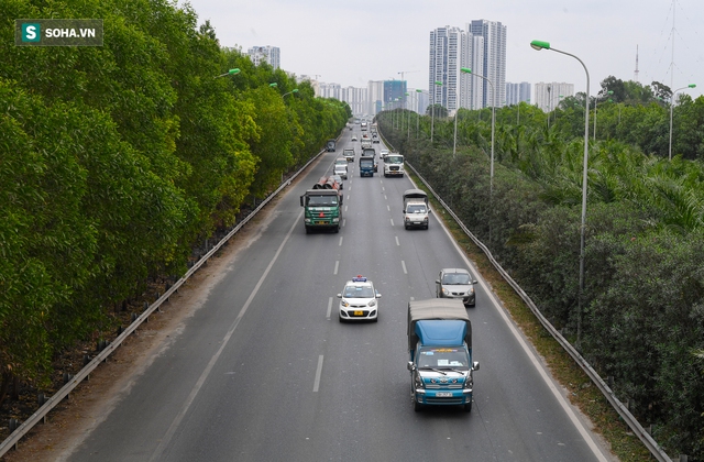  Khám phá Đại lộ dài nhất, rộng nhất Việt Nam-16 làn xe đẹp như châu Âu - Ảnh 4.