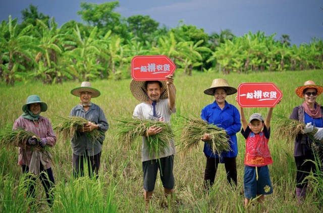 Vì sao đại gia TMĐT Trung Quốc đầu tư mạnh vào công nghệ nông nghiệp? - Ảnh 1.