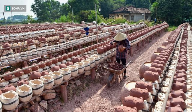  Chủ lò gốm Bình Dương làm 1.000 hổ đất mỗi ngày, chưa ra lò đã có người đến lấy - Ảnh 1.