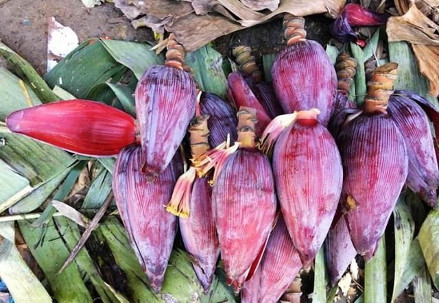 Thứ này vừa là hoa vừa là rau, có rất nhiều ở Việt Nam: Tận dụng sẽ giúp bổ phổi, khỏe tim, hồi xuân hiệu quả mà nhiều phụ nữ chưa biết - Ảnh 2.
