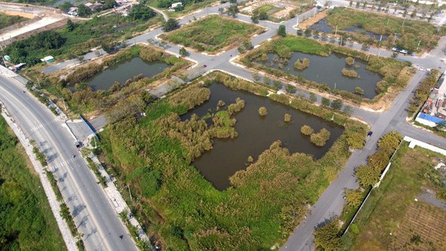 Tập đoàn Tân Hoàng Minh bỏ cọc, TPHCM sẽ tổ chức đấu giá lại đất vàng Thủ Thiêm - Ảnh 1.