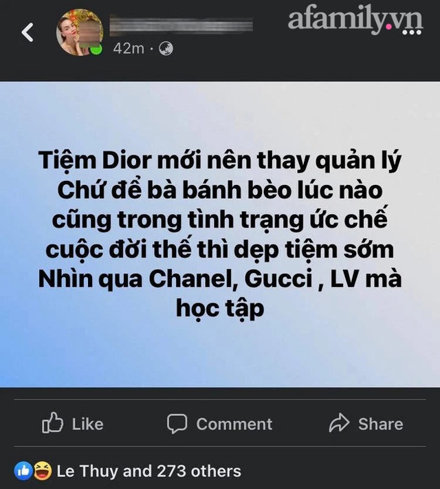 Hà Hồ và thân tín bức xúc vì bị nhân viên Dior Việt Nam coi thường, thái độ lồi lõm và láo với tất cả - Ảnh 2.