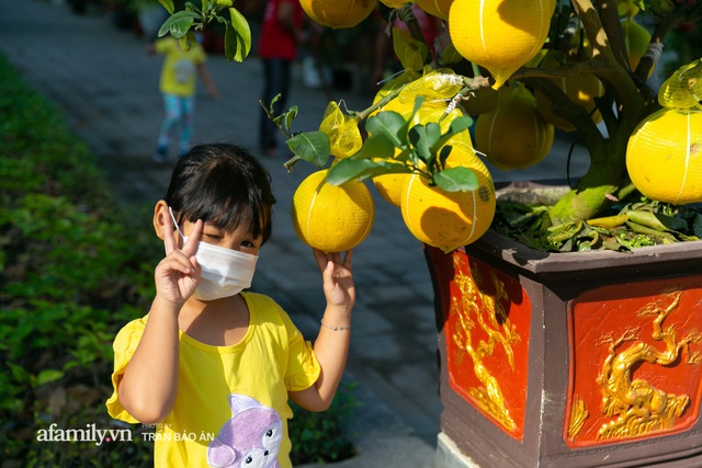 Ngợp với vườn bưởi Diễn nghìn quả tại Sài Gòn, Tết này không chỉ mua cúng, nhiều gia đình thích bày cả cây bưởi trăm triệu trong nhà - Ảnh 13.