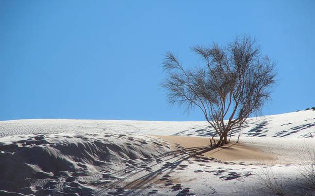 Đây là lần thứ 5 trong vòng 42 năm qua, tuyết rơi nhiều trên khu vực sa mạc khô nóng nhất thế giới.