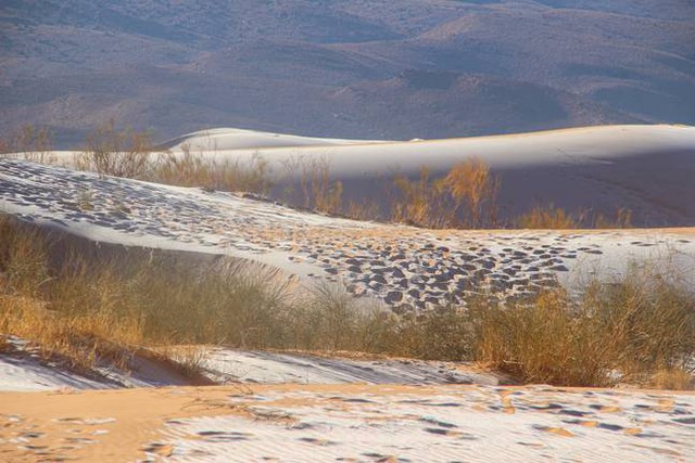 Tuyết rơi nhiều biến sa mạc Sahara thành xứ sở mùa đông - Ảnh 5.