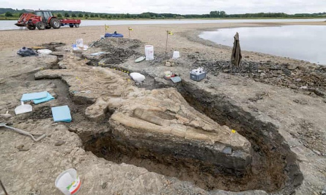 Phát hiện một trong những hóa thạch vĩ đại nhất lịch sử Anh Quốc - Ảnh 2.