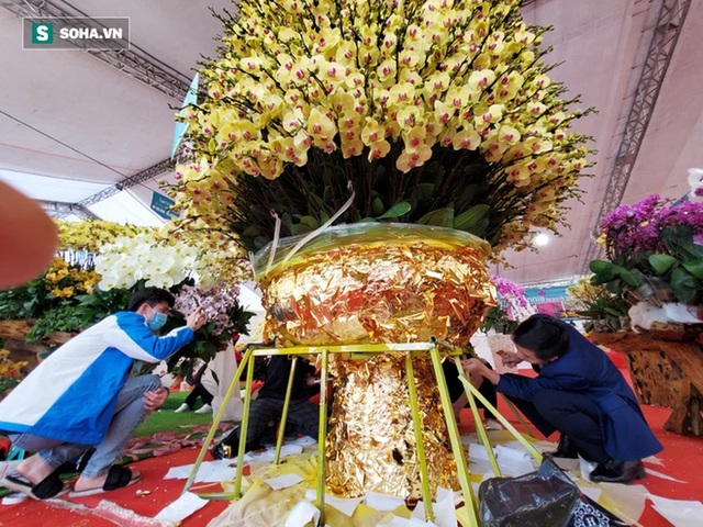 Lan hồ điệp hơn 1 tỷ, dát vàng, cao 5m khủng nhất Việt Nam, 4 thợ làm xuyên ngày đêm - Ảnh 5.