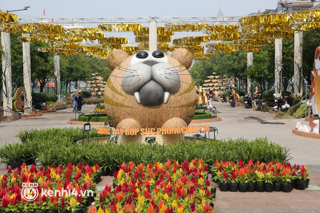 Ảnh: Cận cảnh những chú hổ đầy khí chất trên đường hoa Nguyễn Huệ Tết Nhâm Dần 2022 - Ảnh 14.
