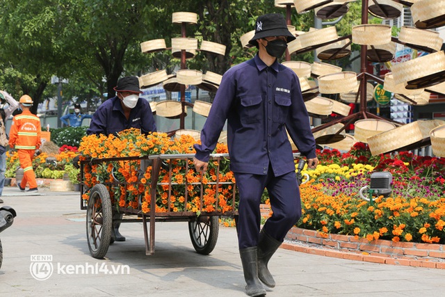 Ảnh: Cận cảnh những chú hổ đầy khí chất trên đường hoa Nguyễn Huệ Tết Nhâm Dần 2022 - Ảnh 18.
