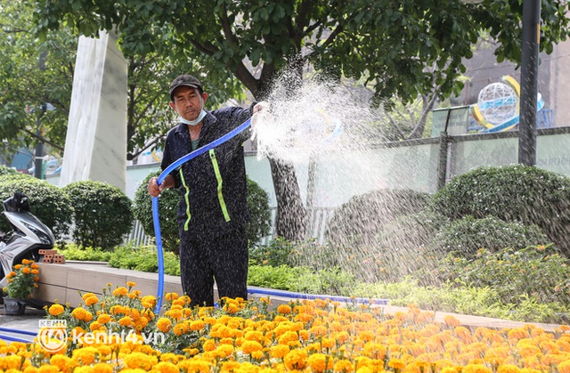 Ảnh: Cận cảnh những chú hổ đầy khí chất trên đường hoa Nguyễn Huệ Tết Nhâm Dần 2022 - Ảnh 19.