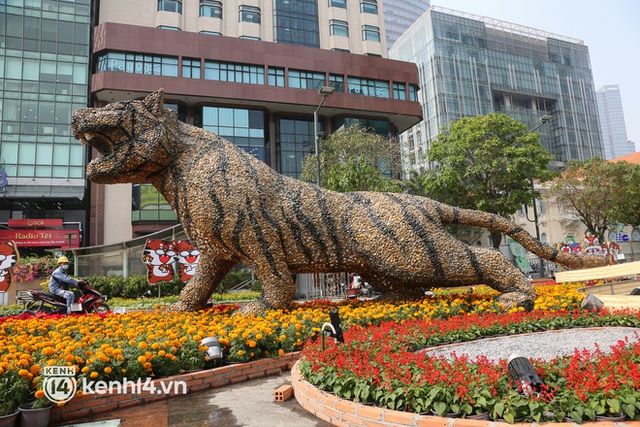 Ảnh: Cận cảnh những chú hổ đầy khí chất trên đường hoa Nguyễn Huệ Tết Nhâm Dần 2022 - Ảnh 4.
