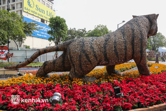 Ảnh: Cận cảnh những chú hổ đầy khí chất trên đường hoa Nguyễn Huệ Tết Nhâm Dần 2022 - Ảnh 5.