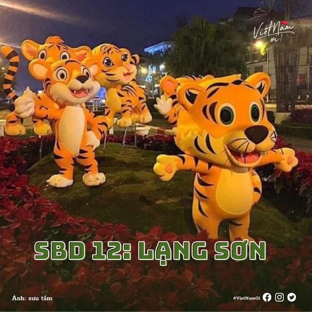 Cư dân mạng đánh số báo danh cho loạt ông Hổ đi thi miss linh vật năm 2022, tỉnh nào sẽ đạt quán quân? - Ảnh 9.