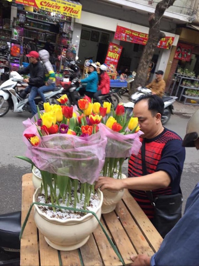 Lưu ý 6 KHÔNG khi mua hoa Tết cần phải chú ý để chọn được hoa vừa rẻ đẹp lại lâu tàn - Ảnh 1.