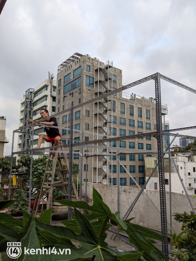 Chàng kiến trúc sư trẻ biến sân thượng thuê trọ thành vườn cây trái sum suê, nổi bật giữa trung tâm Sài Gòn - Ảnh 3.