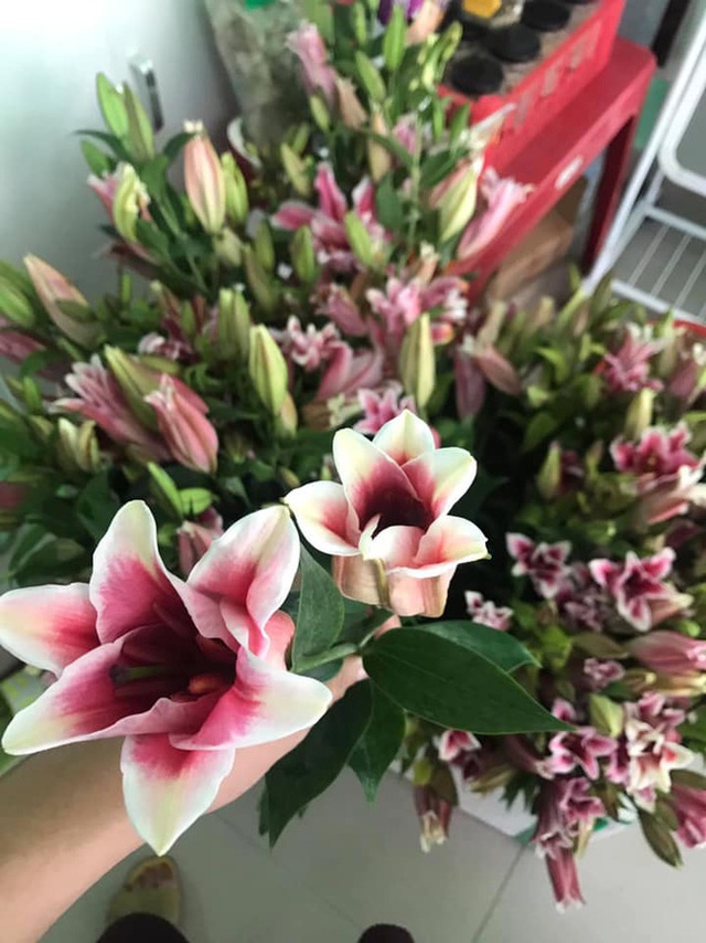 Lưu ý 6 KHÔNG khi mua hoa Tết cần phải chú ý để chọn được hoa vừa rẻ đẹp lại lâu tàn - Ảnh 6.