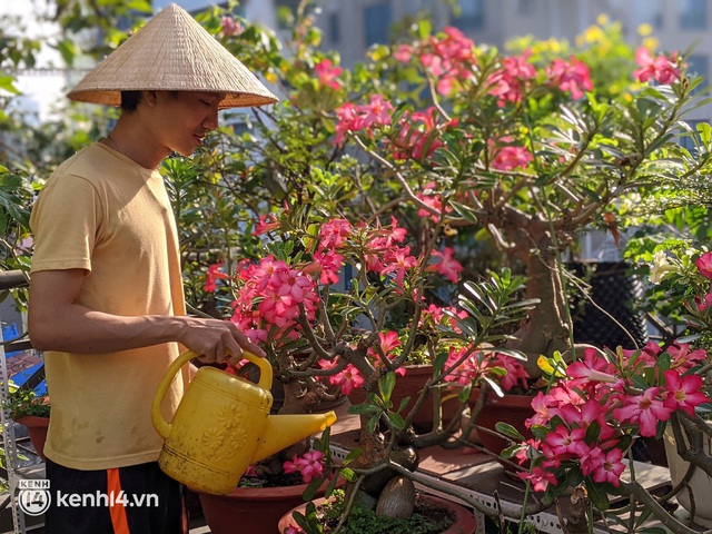 Chàng kiến trúc sư trẻ biến sân thượng thuê trọ thành vườn cây trái sum suê, nổi bật giữa trung tâm Sài Gòn - Ảnh 9.