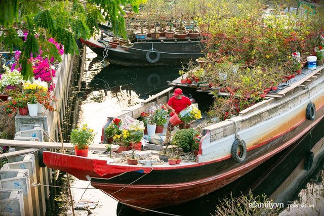 Đến hẹn hằng năm giữa Sài Gòn lại xuất hiện chợ hoa nổi, bà con miền Tây lặn lội đưa cây kiểng mong mang hương sắc Tết đến mọi nhà  - Ảnh 4.
