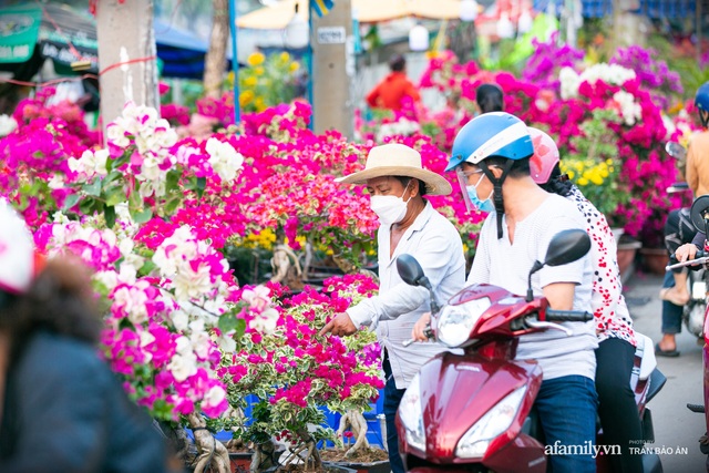 Đến hẹn hằng năm giữa Sài Gòn lại xuất hiện chợ hoa nổi, bà con miền Tây lặn lội đưa cây kiểng mong mang hương sắc Tết đến mọi nhà  - Ảnh 7.