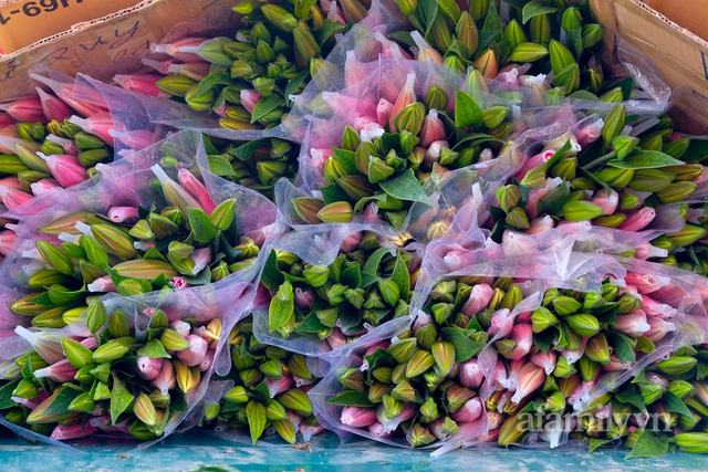 28 Tết cập nhật nhanh giá chợ hoa Quảng Bá: Tăng 20% so với ngày thường, mua nhanh 5 cành đào đông cắm đẹp nhà hết 2,2 triệu - Ảnh 13.