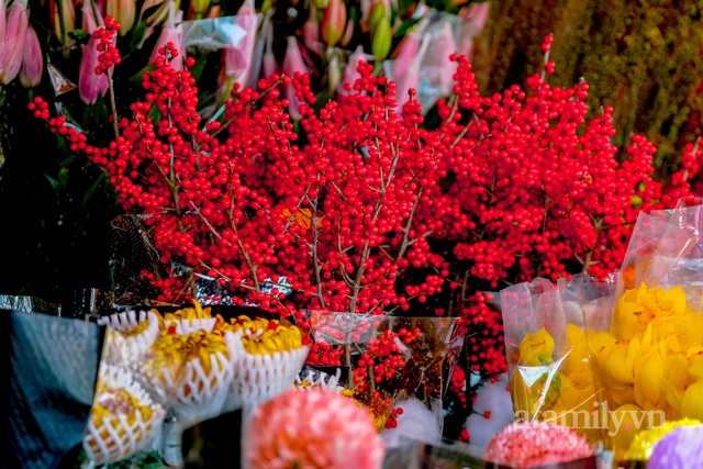 28 Tết cập nhật nhanh giá chợ hoa Quảng Bá: Tăng 20% so với ngày thường, mua nhanh 5 cành đào đông cắm đẹp nhà hết 2,2 triệu - Ảnh 15.