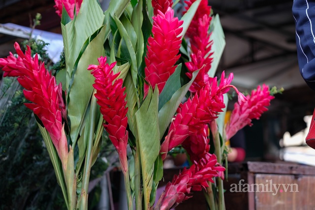 28 Tết cập nhật nhanh giá chợ hoa Quảng Bá: Tăng 20% so với ngày thường, mua nhanh 5 cành đào đông cắm đẹp nhà hết 2,2 triệu - Ảnh 18.