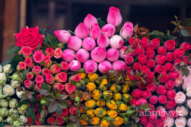 28 Tết cập nhật nhanh giá chợ hoa Quảng Bá: Tăng 20% so với ngày thường, mua nhanh 5 cành đào đông cắm đẹp nhà hết 2,2 triệu - Ảnh 21.