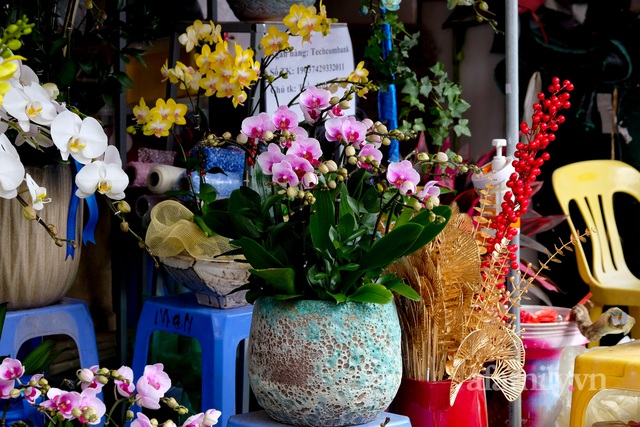 28 Tết cập nhật nhanh giá chợ hoa Quảng Bá: Tăng 20% so với ngày thường, mua nhanh 5 cành đào đông cắm đẹp nhà hết 2,2 triệu - Ảnh 29.