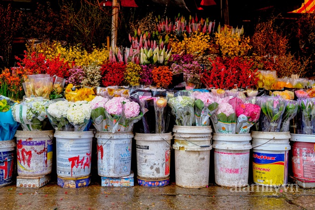 28 Tết cập nhật nhanh giá chợ hoa Quảng Bá: Tăng 20% so với ngày thường, mua nhanh 5 cành đào đông cắm đẹp nhà hết 2,2 triệu - Ảnh 4.