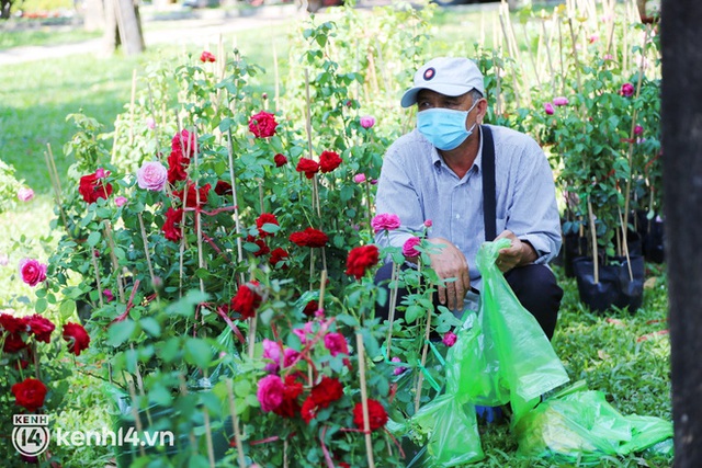  Tiểu thương Sài Gòn cắt bỏ phần hoa ế trưa 29 Tết, bán đổ bán tháo để về nhà: Giờ chỉ còn 20k, 30k/chậu mà có người vẫn trả giá thì chịu, chị không bán, thà lỗ luôn... - Ảnh 3.