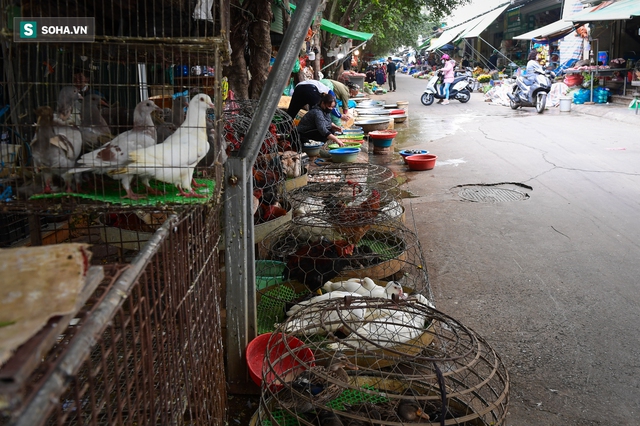  20 năm biến hình đến khó tin ở bán đảo đông đúc nhất Hà Nội - Ảnh 6.