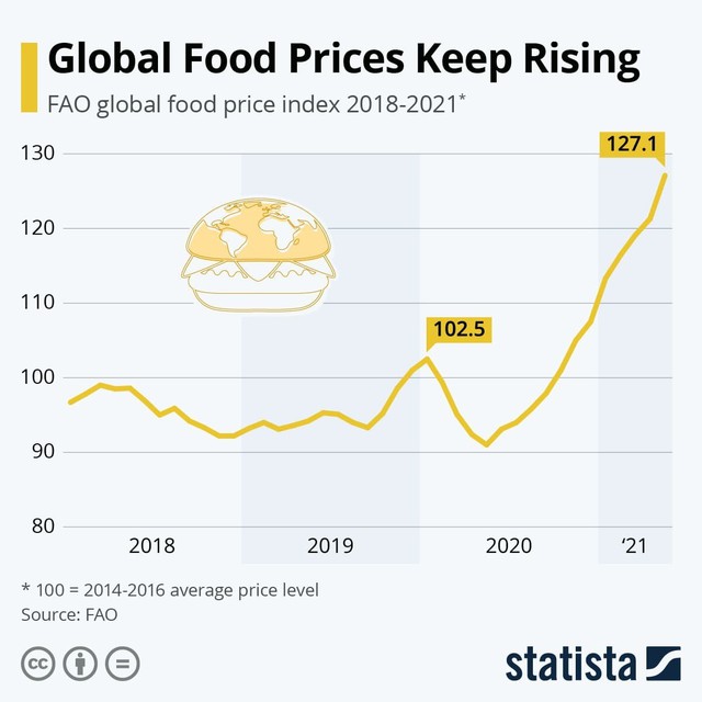 Thói quen hàng nghìn năm của Trung Quốc khiến giá lương thực cao nhất 10 năm: Tích trữ 69% ngô, 60% gạo và 51% lúa mỳ dự trữ toàn cầu - Ảnh 1.