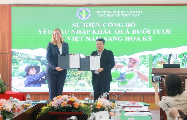 Bộ Nông nghiệp Mỹ quyết định cho phép nhập khẩu bưởi tươi của Việt Nam vào thị trường này từ ngày 4-10-2022 - Ảnh: C.TUỆ