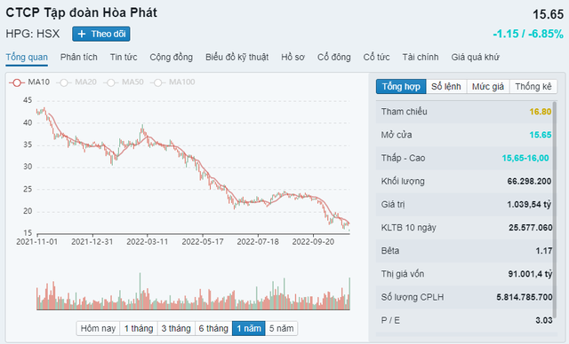Những doanh nghiệp &quot;lỗ càng thêm lỗ&quot; vì &quot;bắt đáy&quot; cổ phiếu HPG - Ảnh 1.