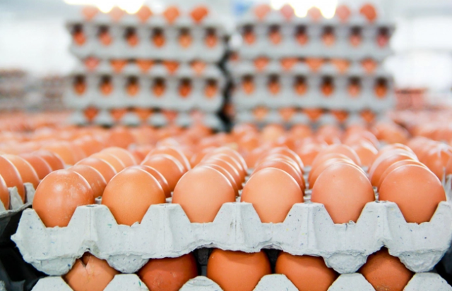 Thép &quot;ế&quot;, doanh số trứng gà vượt đỉnh có giúp Hòa Phát vượt qua cửa khó? - Ảnh 3.