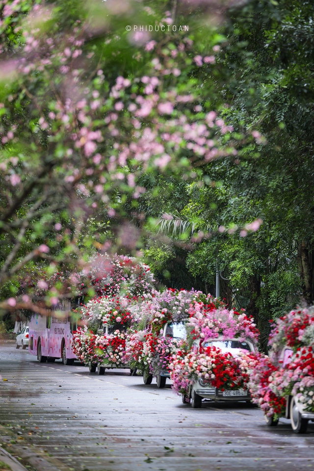 Valentine 2022: Màn tỏ tình ấn tượng nhất thế giới vừa diễn ra ở Hà Nội với 99.999 bông hồng - Ảnh 3.