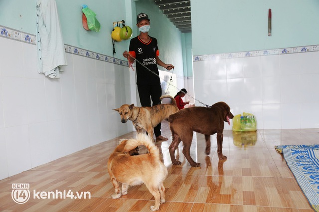  Chủ nhân đàn chó ở Cà Mau gửi lời đến nữ đại gia quận 7: Nếu chị nằm trong hoàn cảnh tui chị mới biết, tui không làm gì để chị thất vọng đâu... - Ảnh 17.