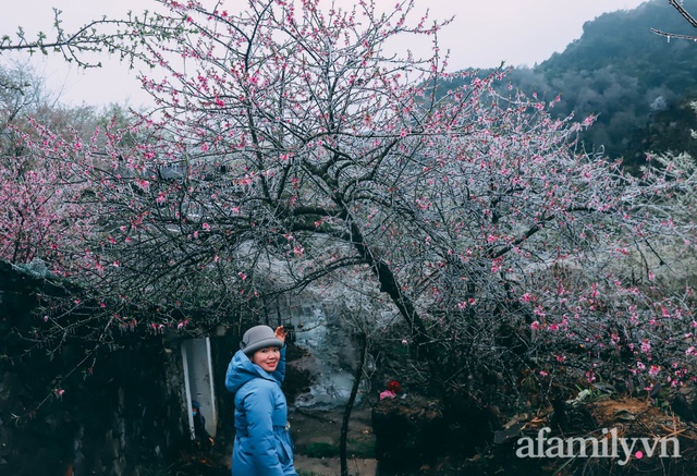 Băng giá bao trùm bản Lao Xa Hà Giang, tầm này lên đây ngắm đào muộn thì hết nước chấm! - Ảnh 6.