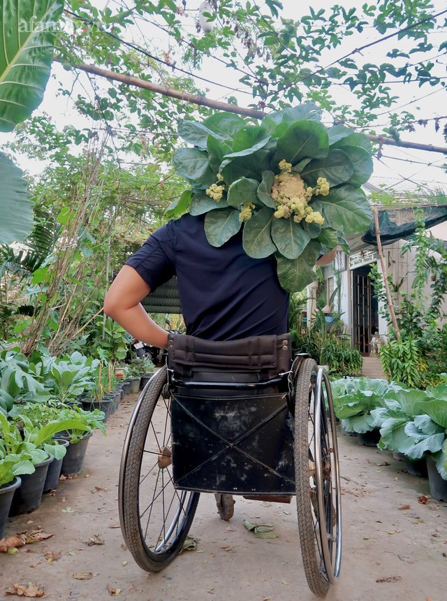 Khu vườn sai trĩu của chàng trai bị liệt hai chân, ngồi trên xe lăn chăm rau, quả mỗi ngày - Ảnh 33.