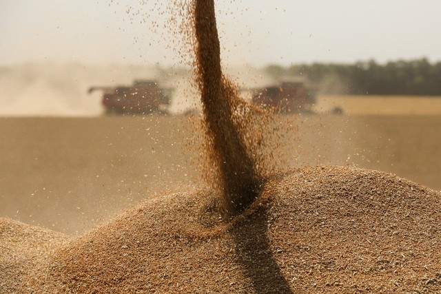  Trung Quốc dỡ bỏ toàn bộ lệnh cấm nhập khẩu lúa mì của Nga  - Ảnh 1.
