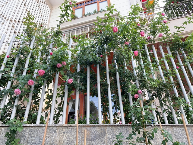 Biệt thự hoa hồng phủ kín lối đi của vợ chồng diễn viên Quý Bình, được bà xã đại gia gọi là full house  - Ảnh 6.