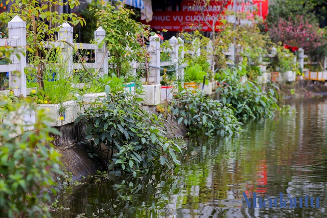  2 hồ nước ở Hà Nội sắp bị san lấp, hàng trăm hộ dân xin giữ - Ảnh 5.