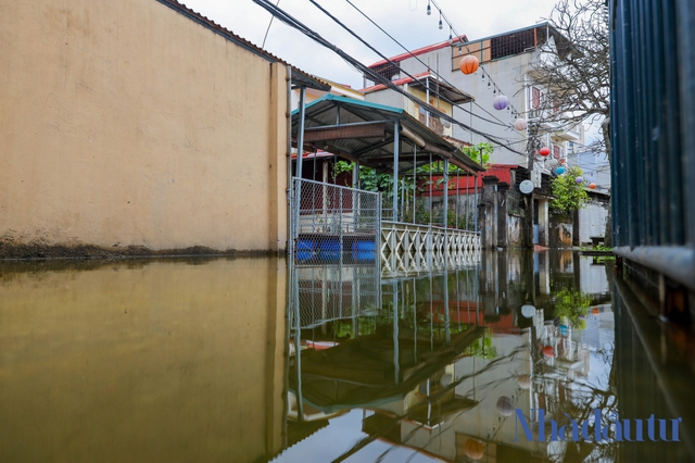  2 hồ nước ở Hà Nội sắp bị san lấp, hàng trăm hộ dân xin giữ - Ảnh 7.