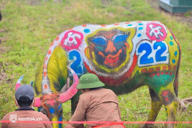Ảnh: Độc đáo những chú trâu hoá hổ trong lễ Tịch điền năm Nhâm Dần 2022 - Ảnh 5.