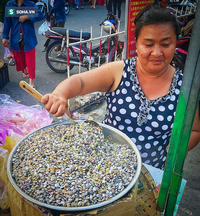 Ngâm mình dưới nước cào thứ ăn là nghiện, ngư dân Đà Nẵng đút túi tiền triệu mỗi ngày - Ảnh 6.