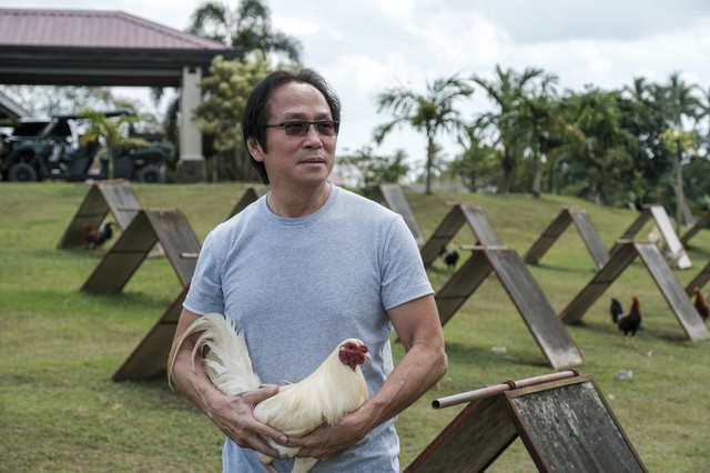 Billion dollar smokeless industry booming in the Philippines: Cockfighting online - Photo 5.