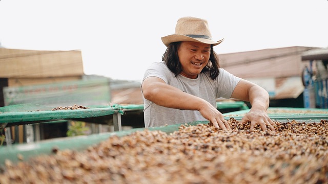 Lacàph – Cà phê tôn vinh nông dân Việt – Chuyến phiêu lưu vào thế giới đầy hương sắc của 2 chàng trai đến từ Hà Lan và Hàn Quốc - Ảnh 3.
