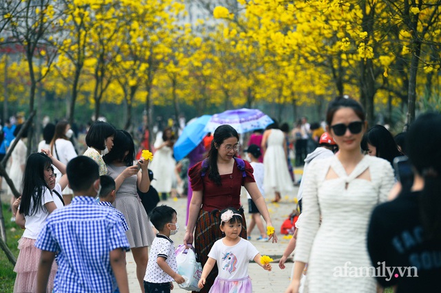 Hà Nội: Hàng nghìn người đổ xô đi chụp ảnh ở đường hoa phong linh, chỗ để xe thất thủ - cảnh giác bảo vệ tài sản - Ảnh 6.